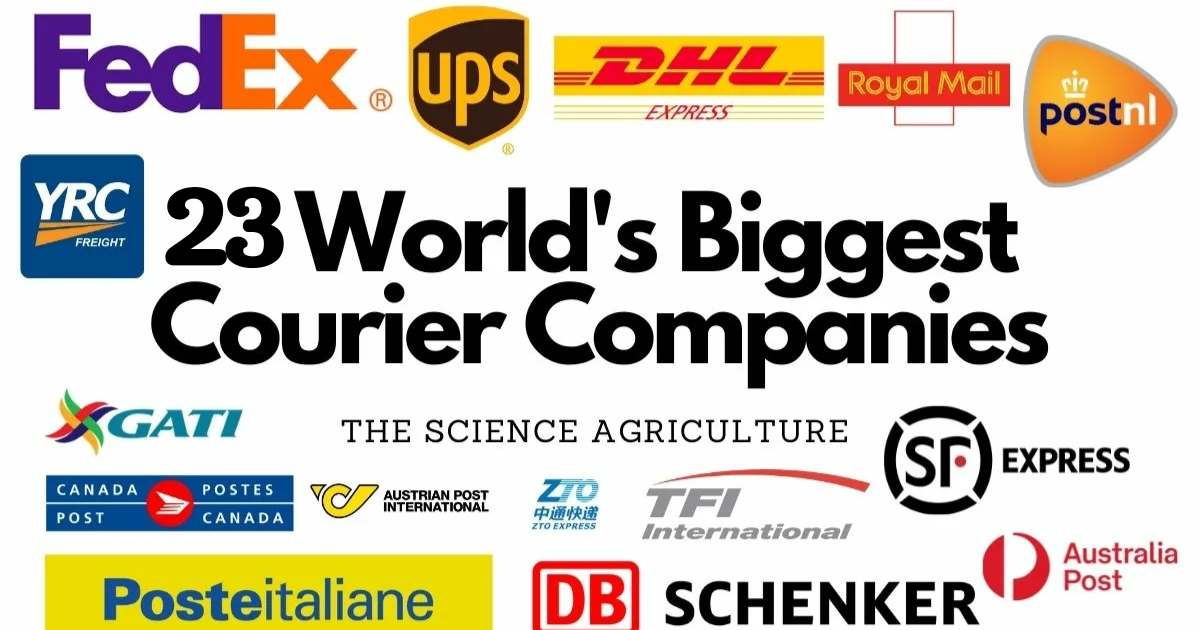 Top 23 Global Courier Companies Unveiled