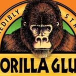 Mark Singer Gorilla Glue Net Worth A Complete 2024 Analysis